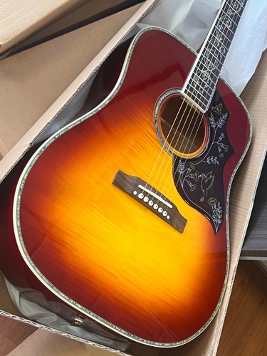 Hummingbird acoustic guitar - hummingbird,